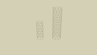 Carbon Nanotube structure