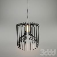 Modo Luce / Icaro