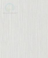 Texture Desktop Rasch