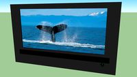 Whale Watching TV