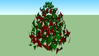 Photinia x fraseri red robin