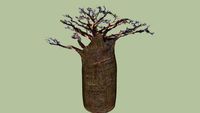 3D Baobab Tree
