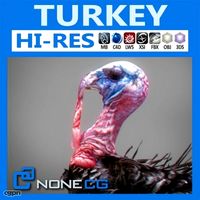 Turkey3d model