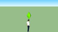 sims