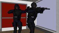 S.W.A.T (Special Weapons and Tactics)