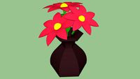 Chloe's flowers in vase