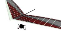 T2C hangglider