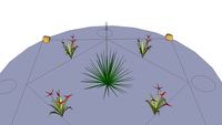 Magic Circle