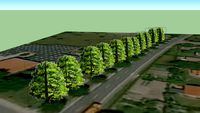 Trees Vestre Alle 3