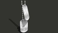 US NAVY Dogtags
