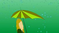 Raindrops