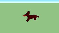 hond