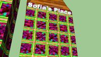 Sofia's Place
