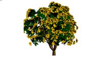Rhododendron, Golden
