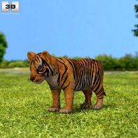 3D model of Tiger Cub