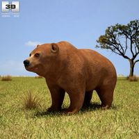 3D model of Grizzly Bear