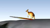 Surfing Skippy the Bush Kangaroo