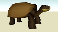 Galapagos Giant Tortoise