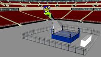 Classic WWE/WWF Arena