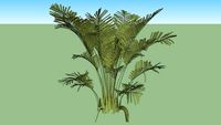 vegetacion
