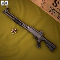 3D model of FN TPS