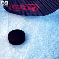 3D model of Hockey Stick & Puck