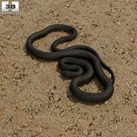 3D model of Green Anaconda