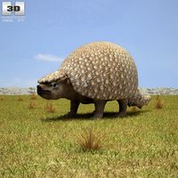 3D model of Glyptodon
