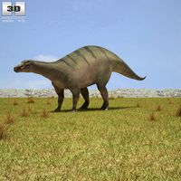 3D model of Iguanodon