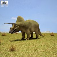3D model of Triceratops