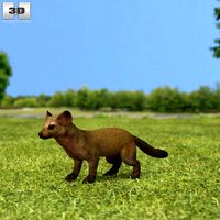 3D model of American Marten