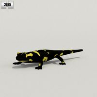 3D model of Spotted Salamander