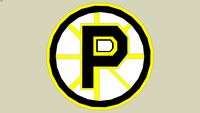 Providence Bruins Logo