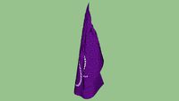 bandera scout