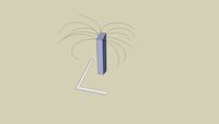 Black Palm Tree