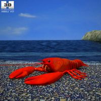 3D model of Lobster