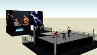Custom WWE Ring