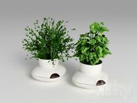 Herbs Sagaform