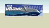 Who Uses Microsoft Flight Simulator X Multiplayer?