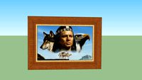 quadro do indio