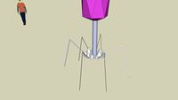 Generic Bacteriophage virus