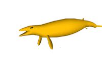 Golden whale
