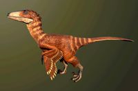 Deinonychus