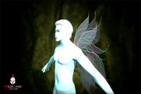 UMA Fairy Wing Pack