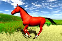 Advance Horse