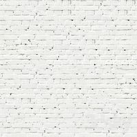 Belennyj brick