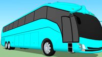 Autobus
