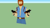 Chuck norris 2D