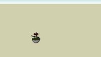 vase with tulipes