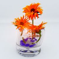 Flowers in a Vase